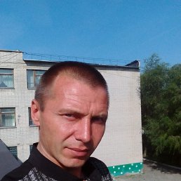 ���������, 43 ����, ������