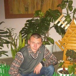 , 41, 