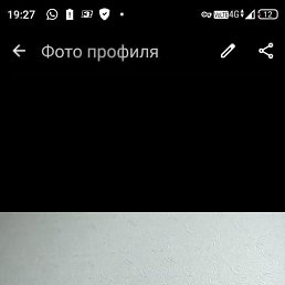 , 41, 