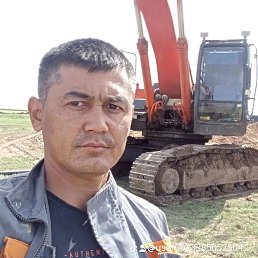 , 37, 