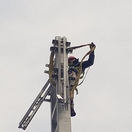 �������, ���������, 41 ���