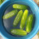 ���� ��������, ������, 59 ��� - ��������� 7 ������� 2024 � ������ ������