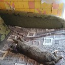 ���� �����, ��������, 43 ���� - ��������� 27 ������� 2025 � ������ ���� ����������