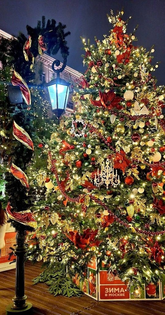 �� �������� ������� ��������� ���������� ��������� � ����� ����, ����������� � ����������� ... - 3