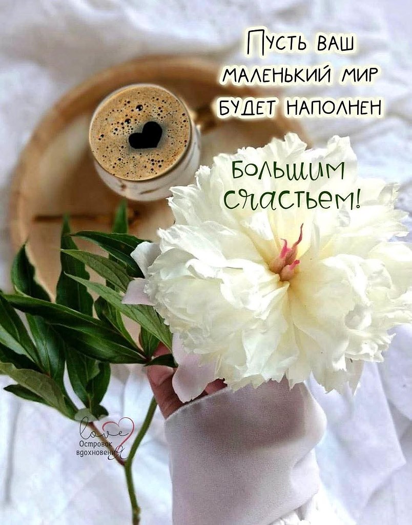�������� ������ - 30 ������ 2026 � 08:03