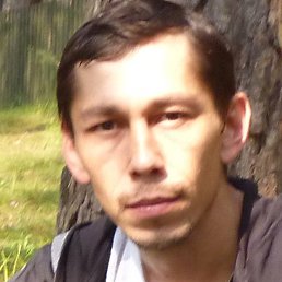 �����, ����, 41 ���