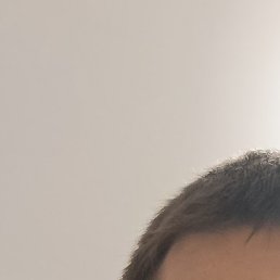 �����, ������, 38 ���