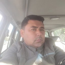 �����, ������, 41 ���