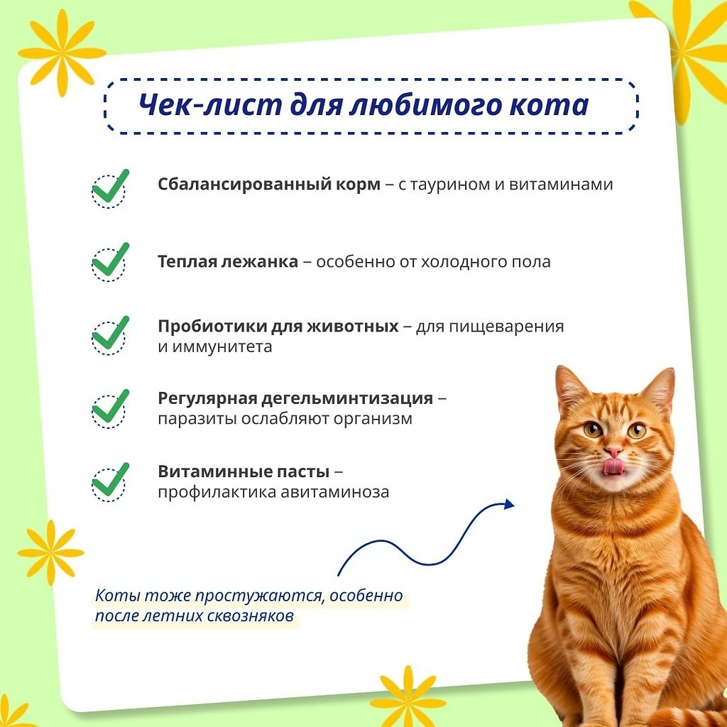     .    ,       ... - 5