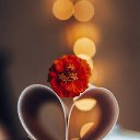 ���� ����������, ������, 47 ��� - ��������� 29 ������ 2025 � ������ ������ ��������