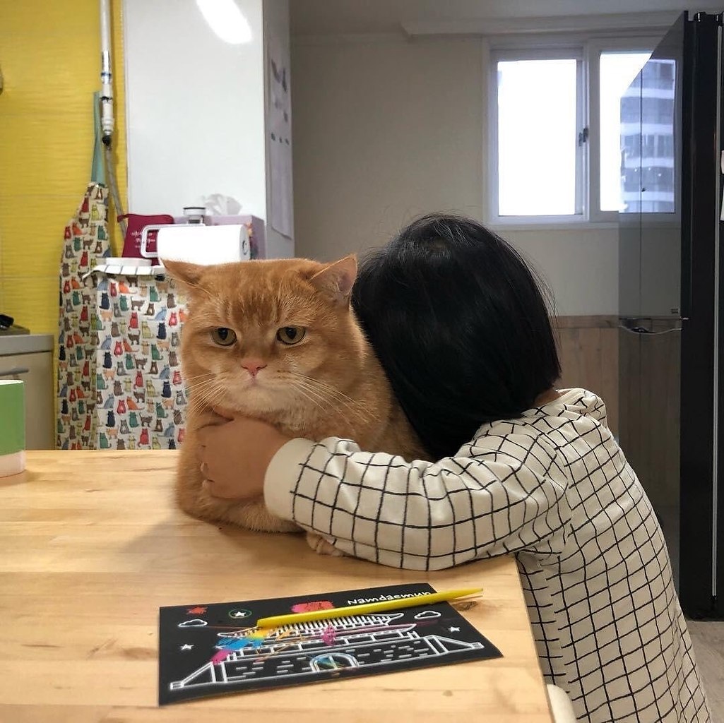 Кузя, ты меня любишь? Да у меня и выбора нет.