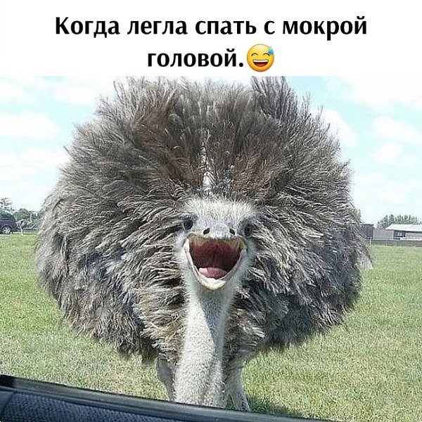   - 22  2024  09:52