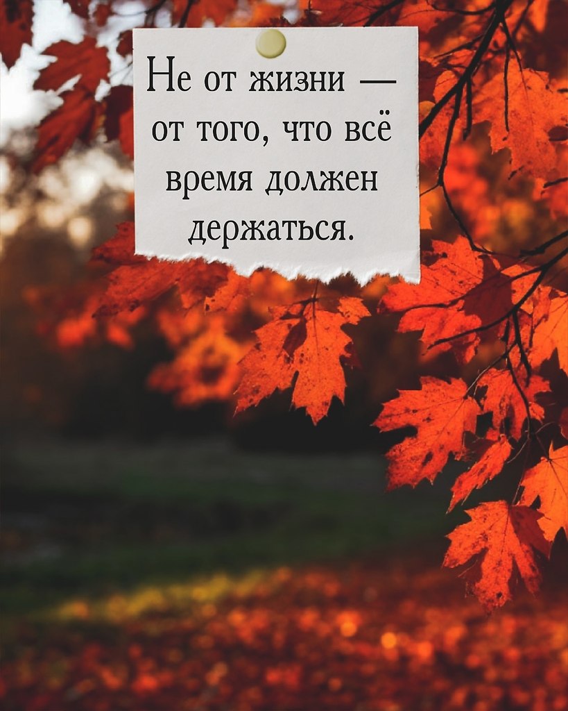 Иногда нам хочется, чтобы кто-то просто сказал: “Можешь не справляться сегодня. Я рядом.” - 2