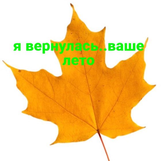   - 23  2024  17:47