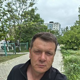 , 41 , 