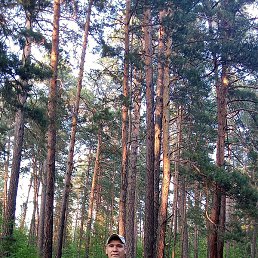 �������, �����������, 37 ���