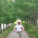 ���� �������, ���������, 67 ��� - ��������� 17 ��� 2025 � ������ ���� ����������