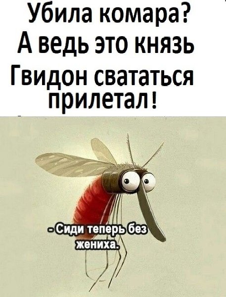  , !() - 15  2024  18:29