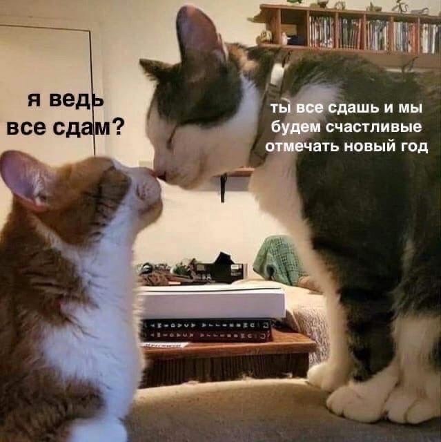    - 7  2024  17:19