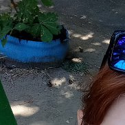 , 44 , 