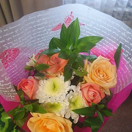 ������, ������, 47 ���