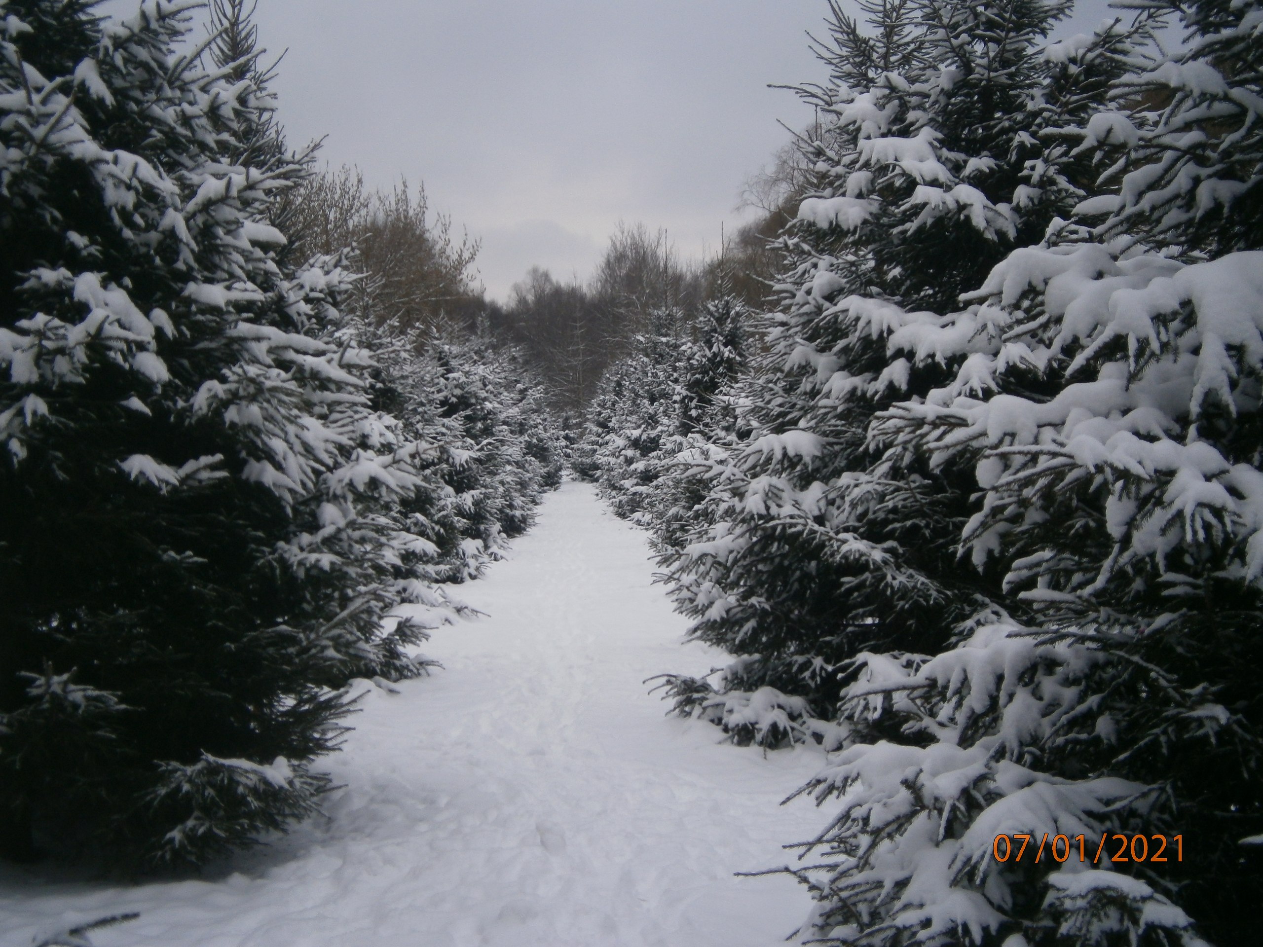 ��������� ������ - 18 ������ 2025 � 18:29