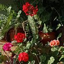  , , 54  -  10  2024