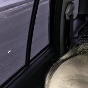 ����, 37 ���, ������