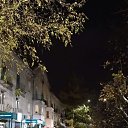 ���� ����, ��������, 46 ��� - ��������� 26 ������� 2026 � ������ ���� ����������