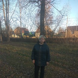 , 53, 