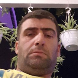 �����, ���������, 40 ���