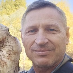 ������, ������������, 55 ���