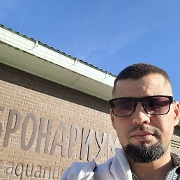 ����, �������, 35 ���