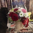 ���� ������, ���, 55 ��� - ��������� 25 ������� 2023 � ������ ������