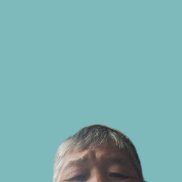 , 53 , 