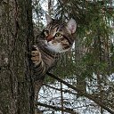 ���� G@l@*****, ������ - ��������� 20 ������ 2025 � ������ ������