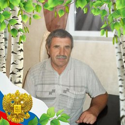 , 67, 