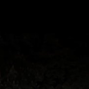 Danil, 21 ���, �������