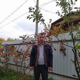 , 53, 