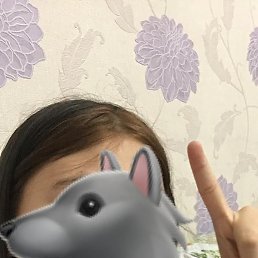 , , 22 