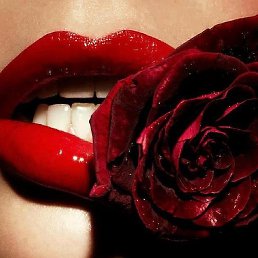 �����, ������-��-����, 64 ����