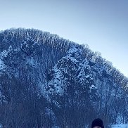 ��������, 37 ���, ������