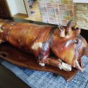 ���� ������, ������ - ��������� 13 ��� 2025 � ������ ���� ����������