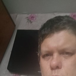 , 40, 