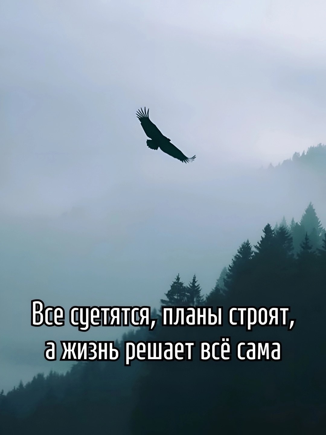  - 22  2025  13:57
