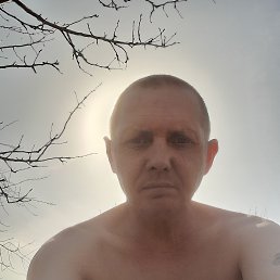 , 41, 