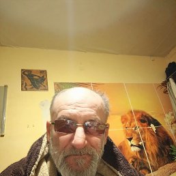 , 57, 