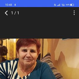 , 66, 