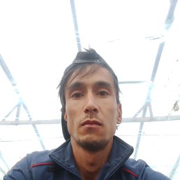 �����, 20 ���, ������