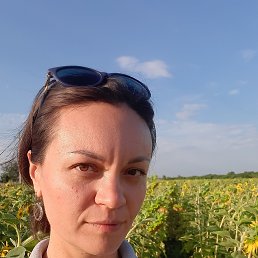 , 40, 